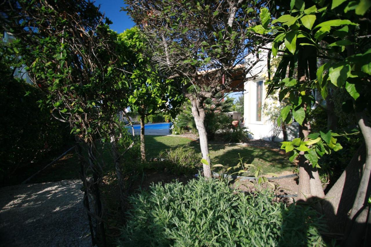 Beach Villa Sofia Нео Хорио Екстериор снимка