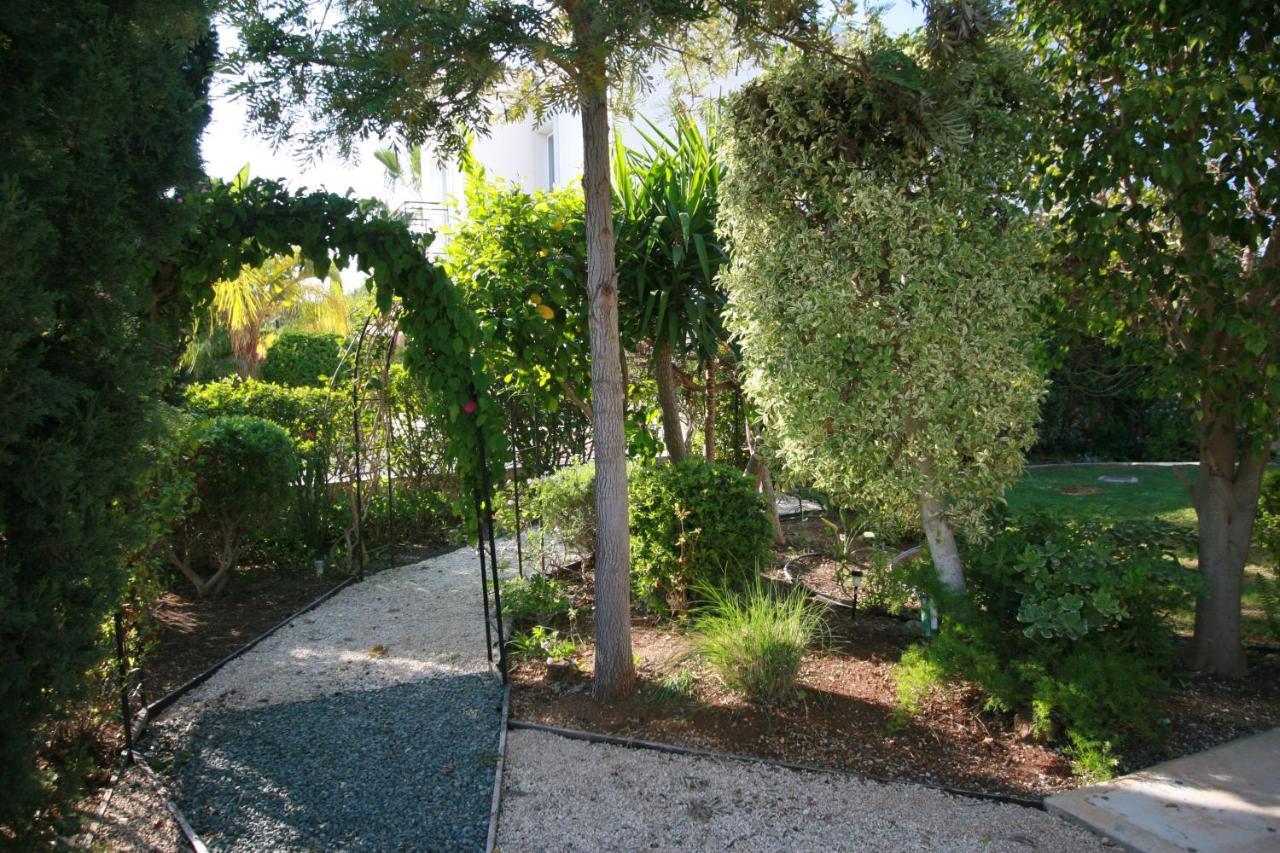 Beach Villa Sofia Нео Хорио Екстериор снимка